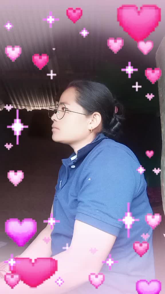 @Tulsi Darlami