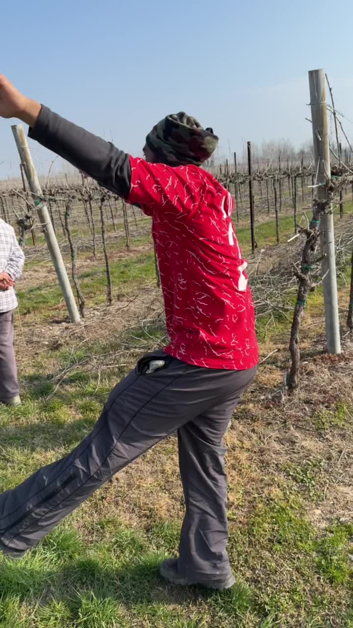 @Italyharyanvi01