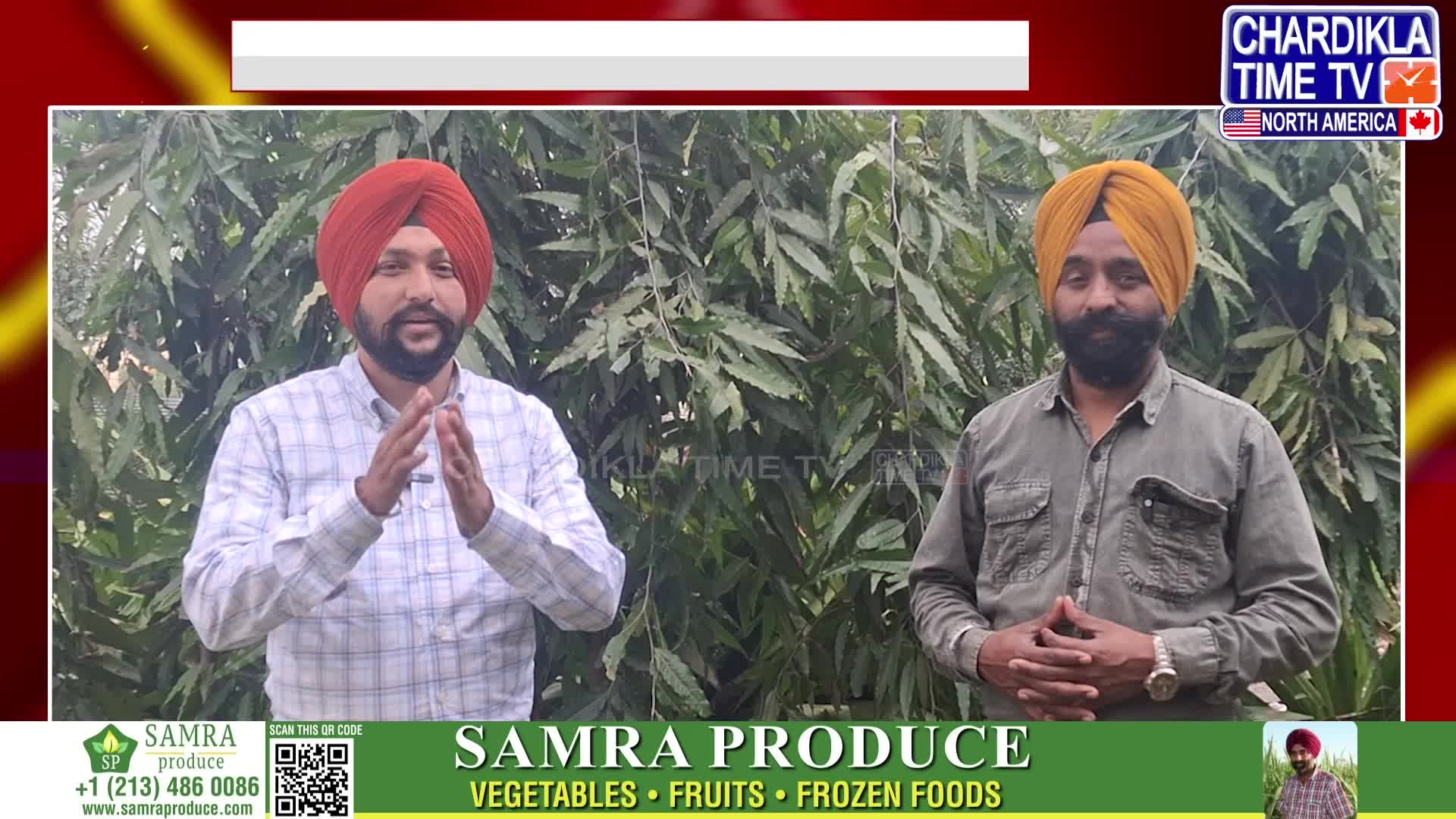 @CK Media Network