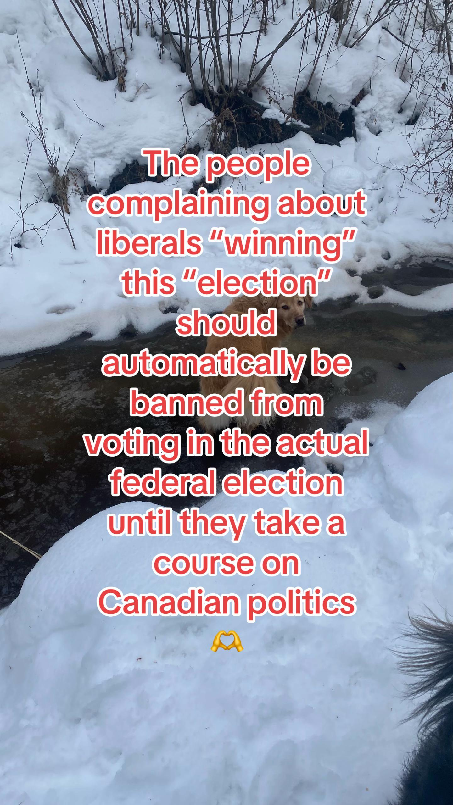 @alex 🇨🇦