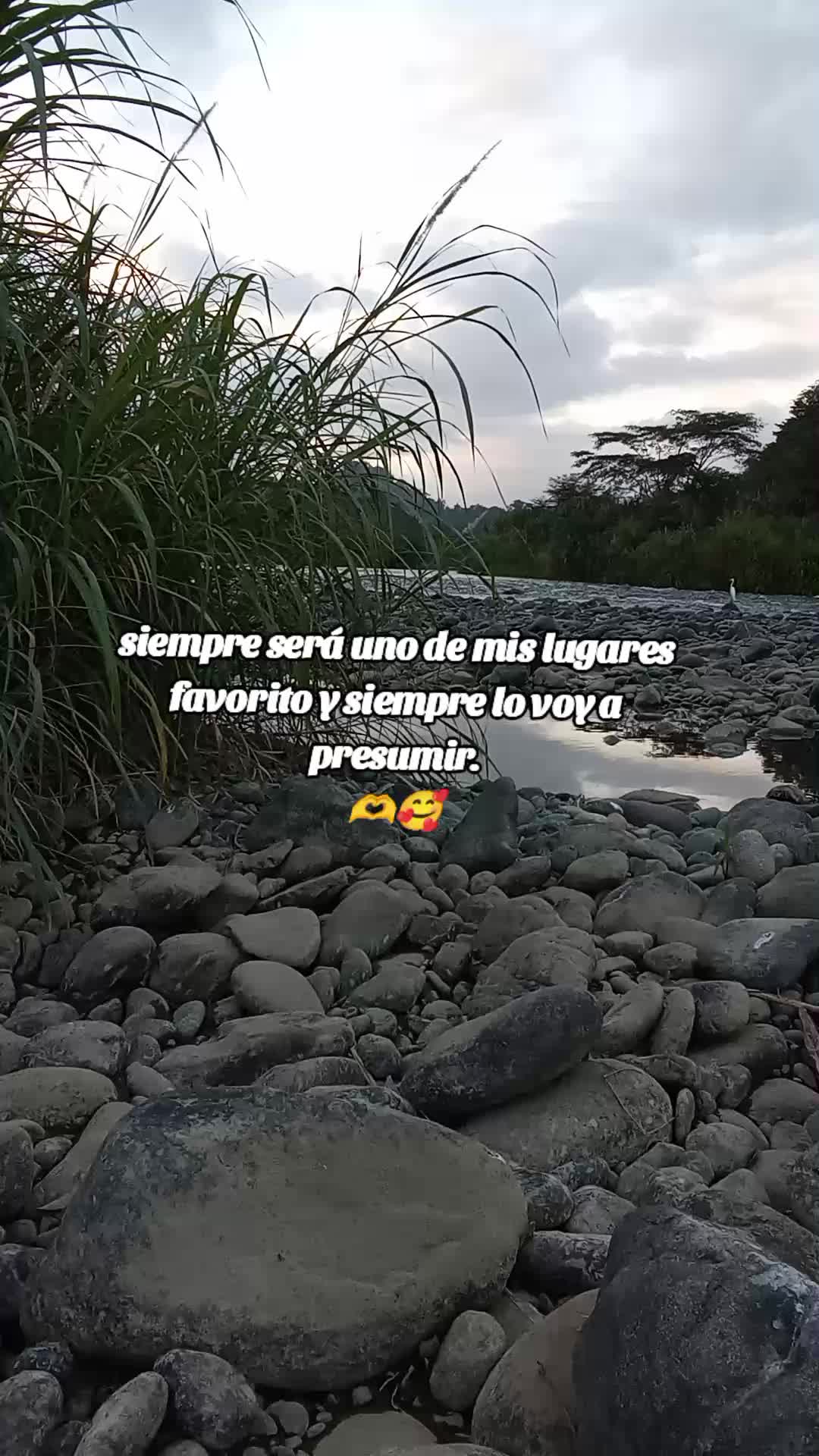 @🌻Eli Ju&aacute;rez🌻