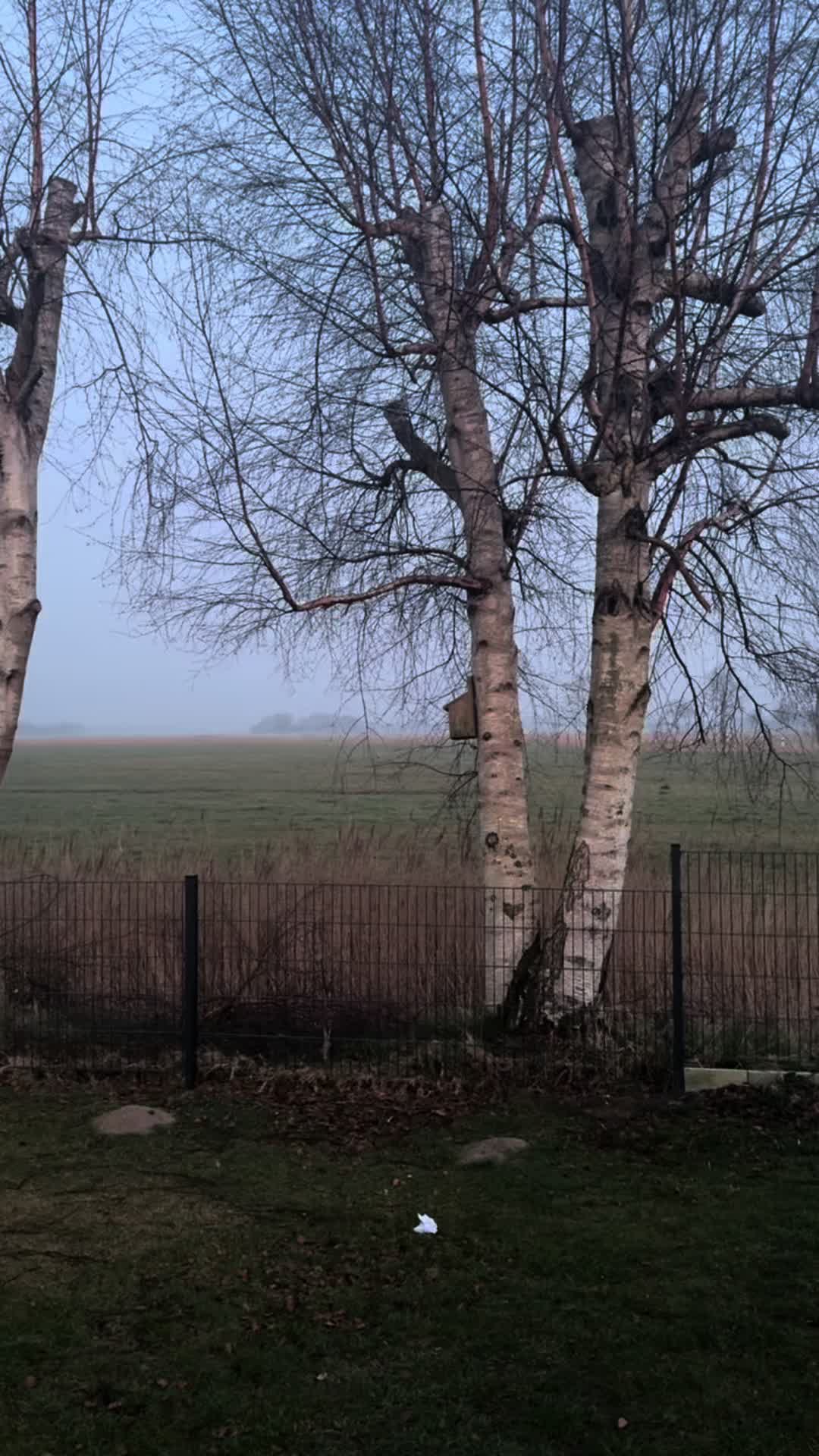 @In&lsquo;t Noord