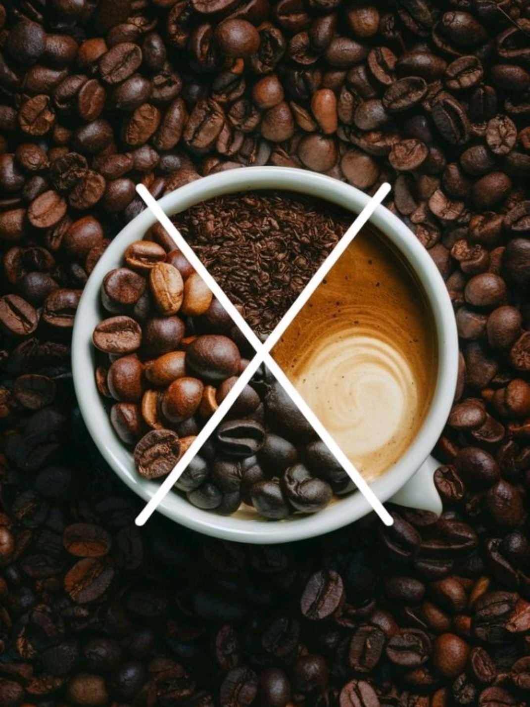@Stella Rossa Micro Roasters
