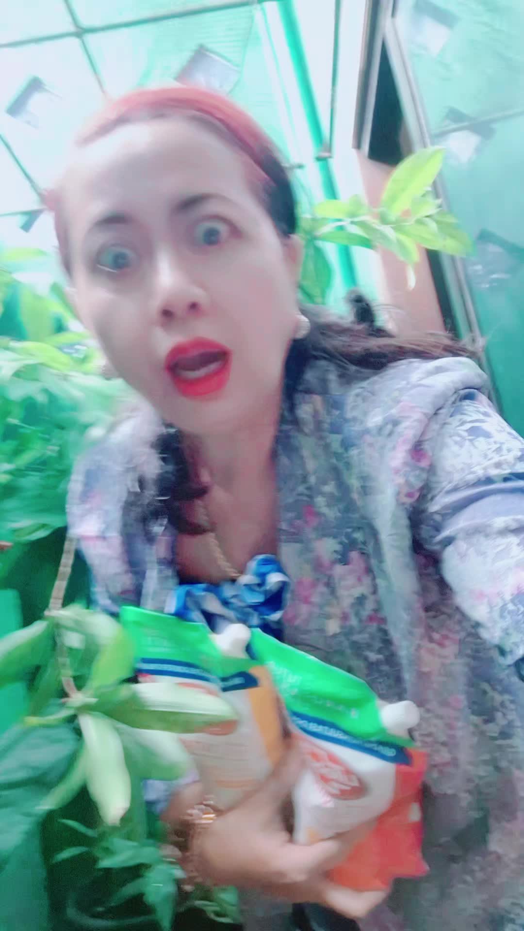 @ayuadi_a