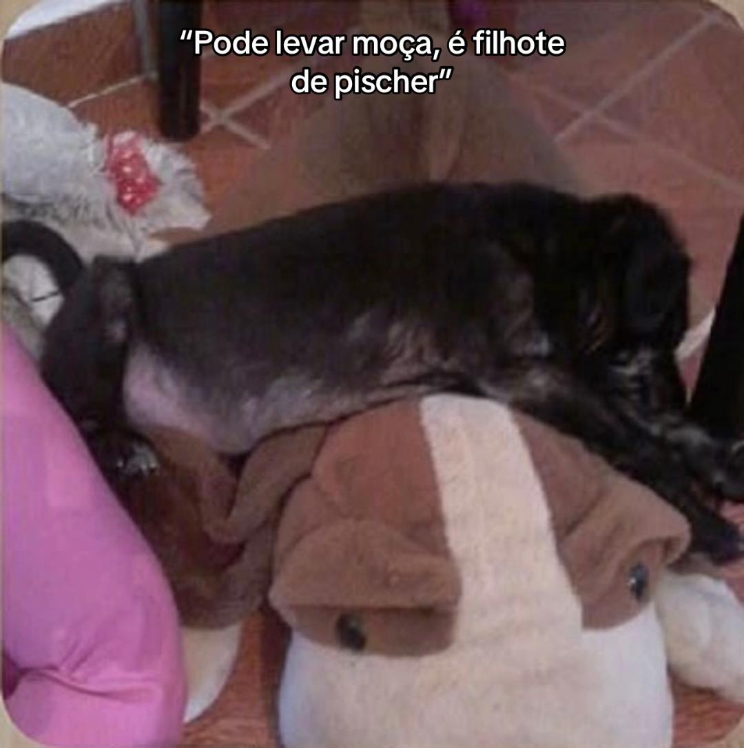 @Mireya Porto