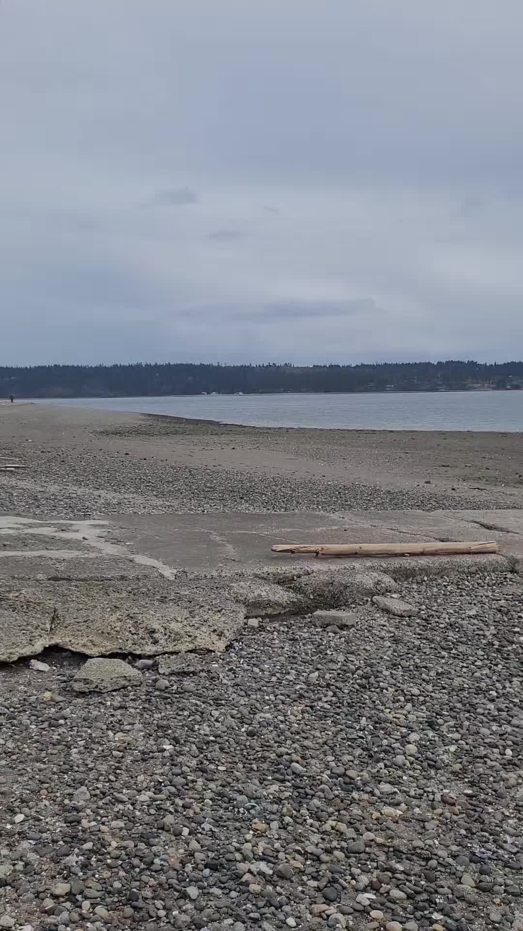@SeayaattheBeach