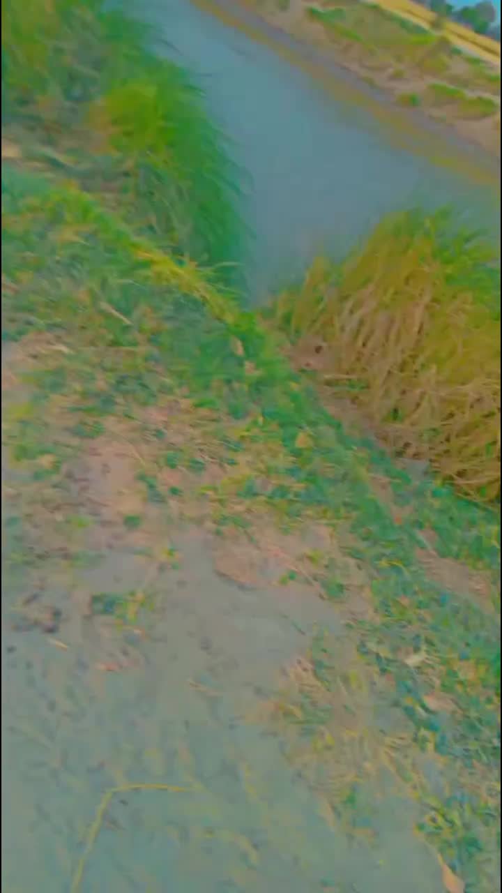 @h.sbaloch020