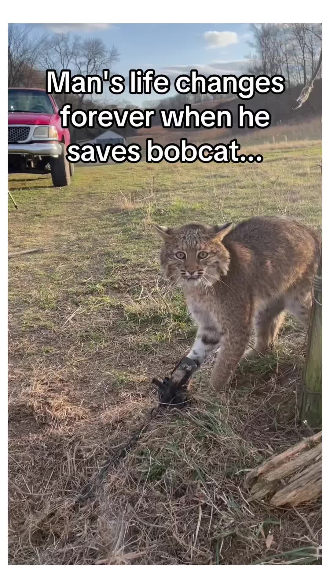 @AJ🦁