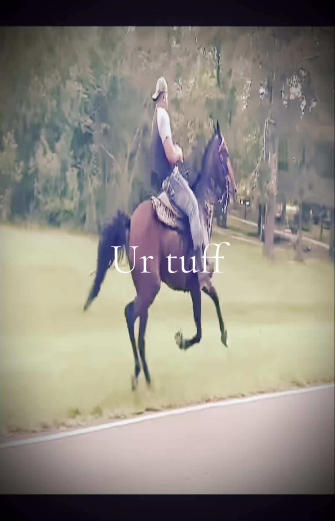 @Julian😵&zwj;💫🕷
