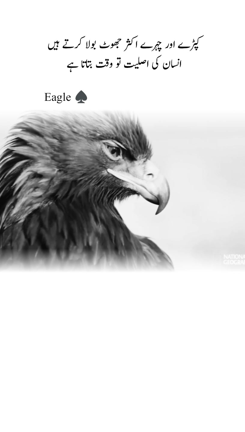 @𝐖𝐚𝐣𝐢𝐝 𝐤𝐢 𝐥𝐢𝐟𝐞