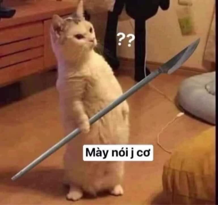 @An ff