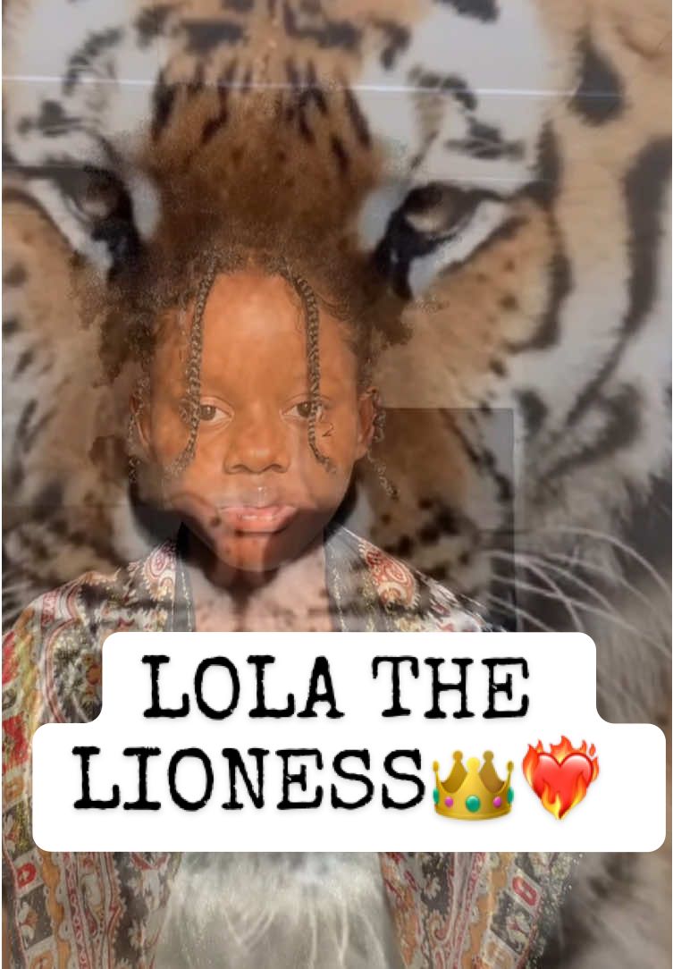 @LOLA THE LIONESS👑❤️&zwj;🔥