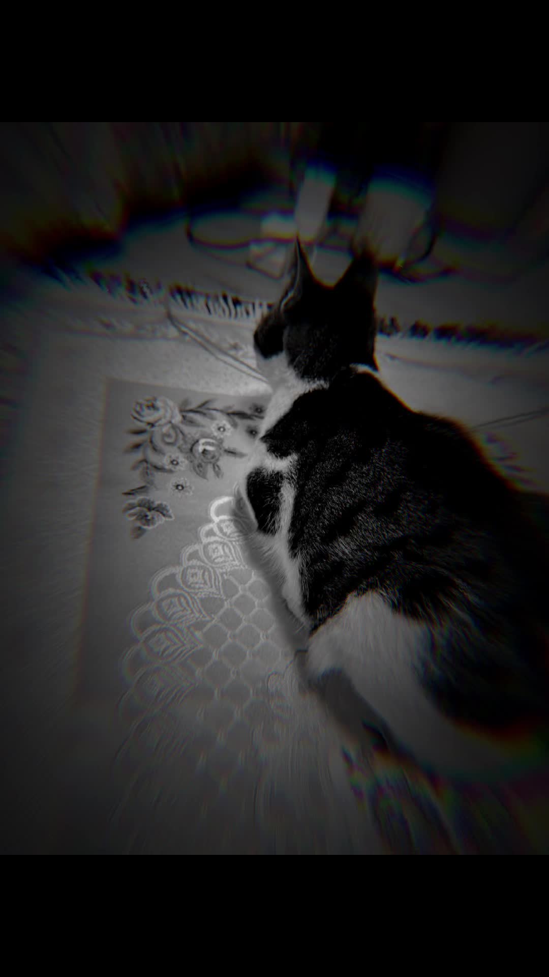 @🤫