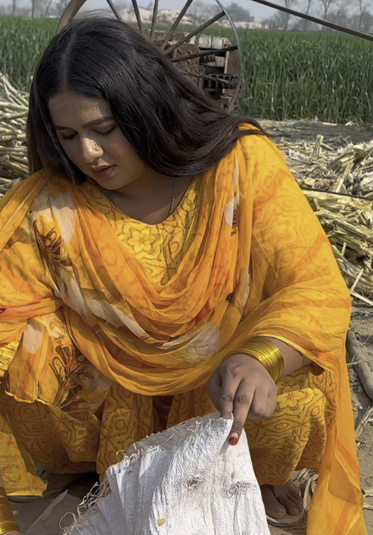 @Punjabi Bulbul Aliza Sehar