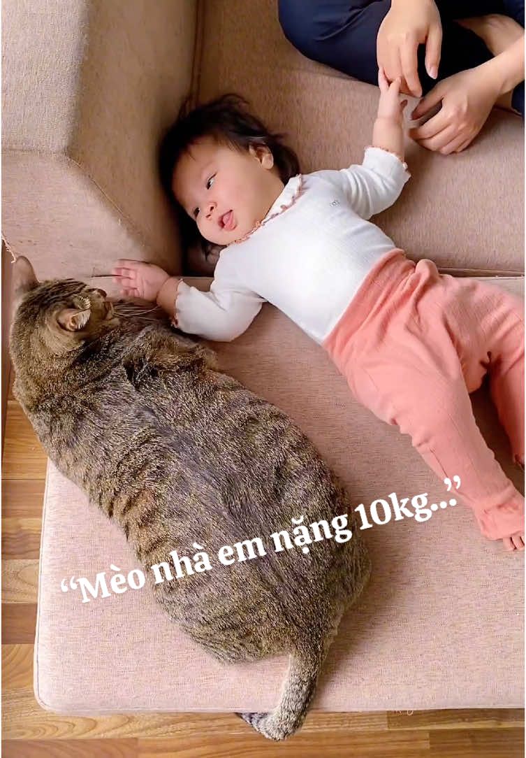@Gia&ensp;Đ&igrave;nh&ensp;C&aacute;&ensp;Cua