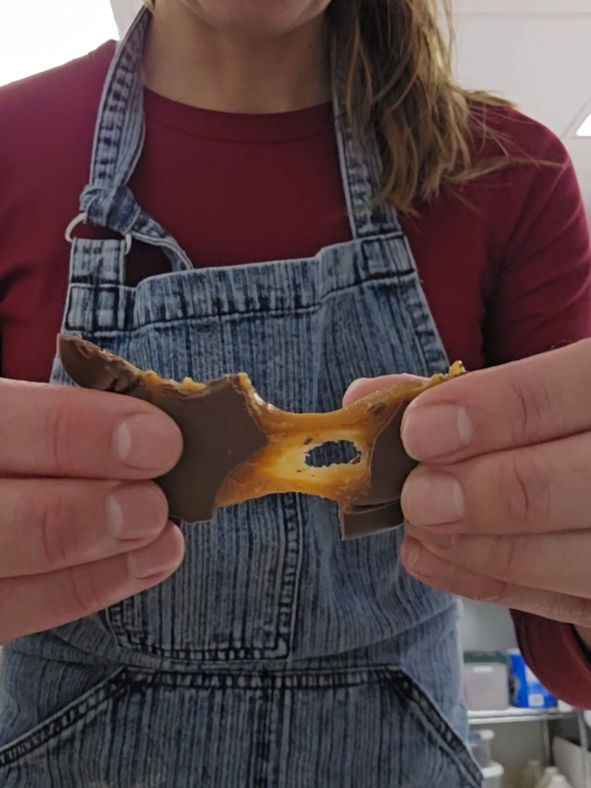 @thechocolatedogmn