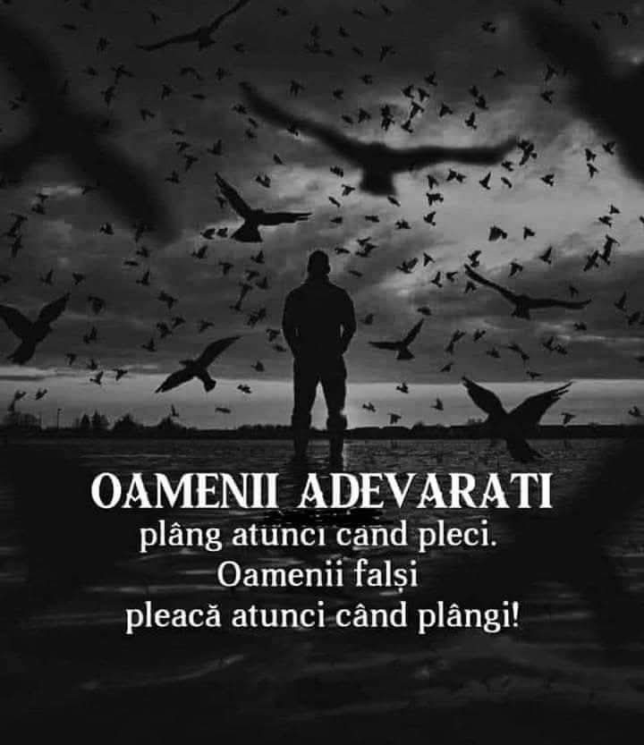 @@mariadascălu60