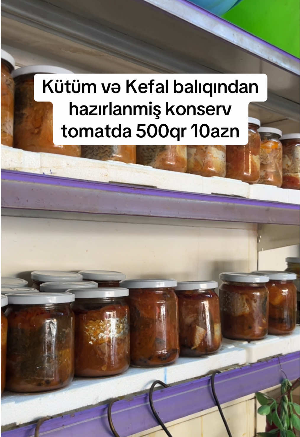 @BALIQLAR ALƏMI ƏHMƏDLI