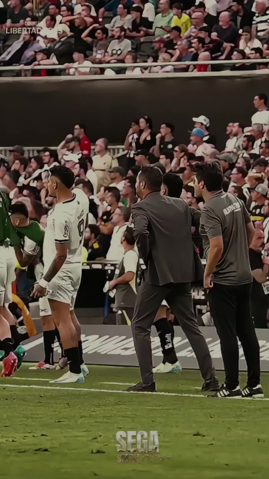 @𝐒ｅg𝐚 ᔕ丅𝐚丅𝓊ᔕ