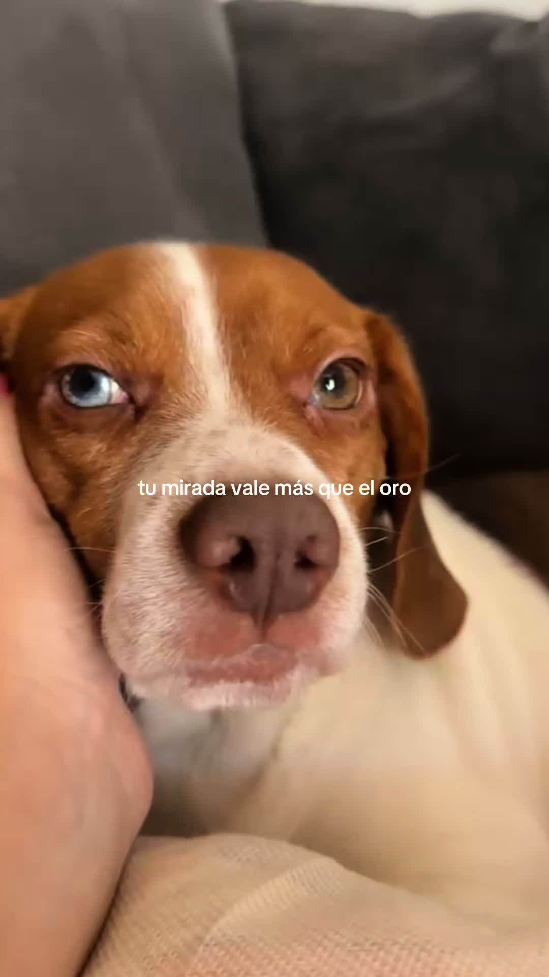 @ariana