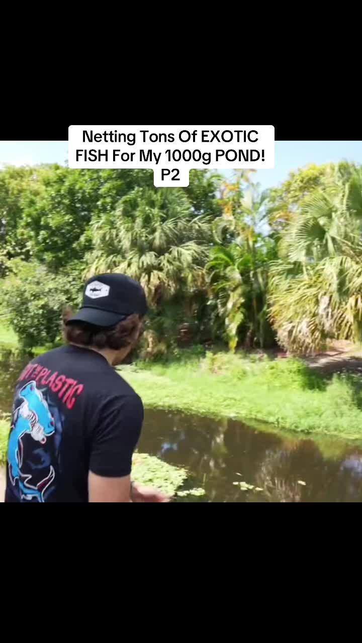 @fish 🐬🐬