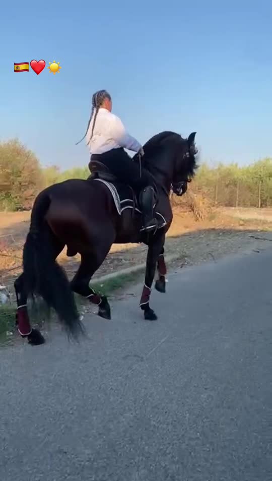 @francesca0112