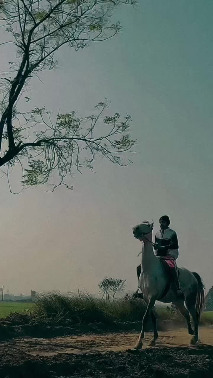 @BAGHIPANJAB