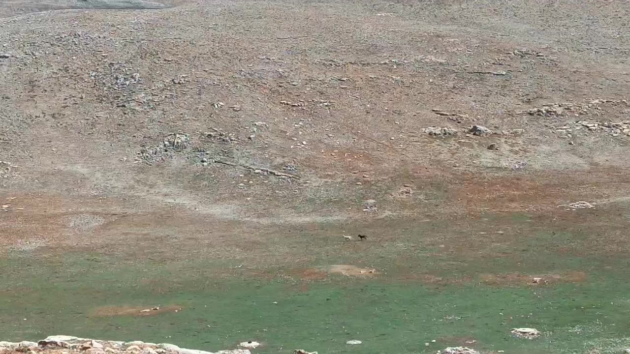 @Nazif Geriş