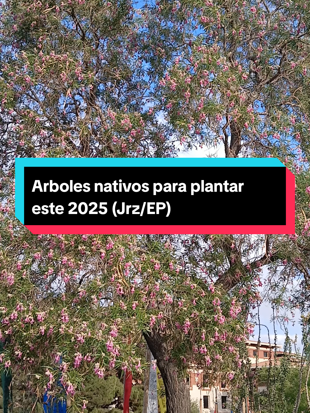 @Ecoversi&oacute;n