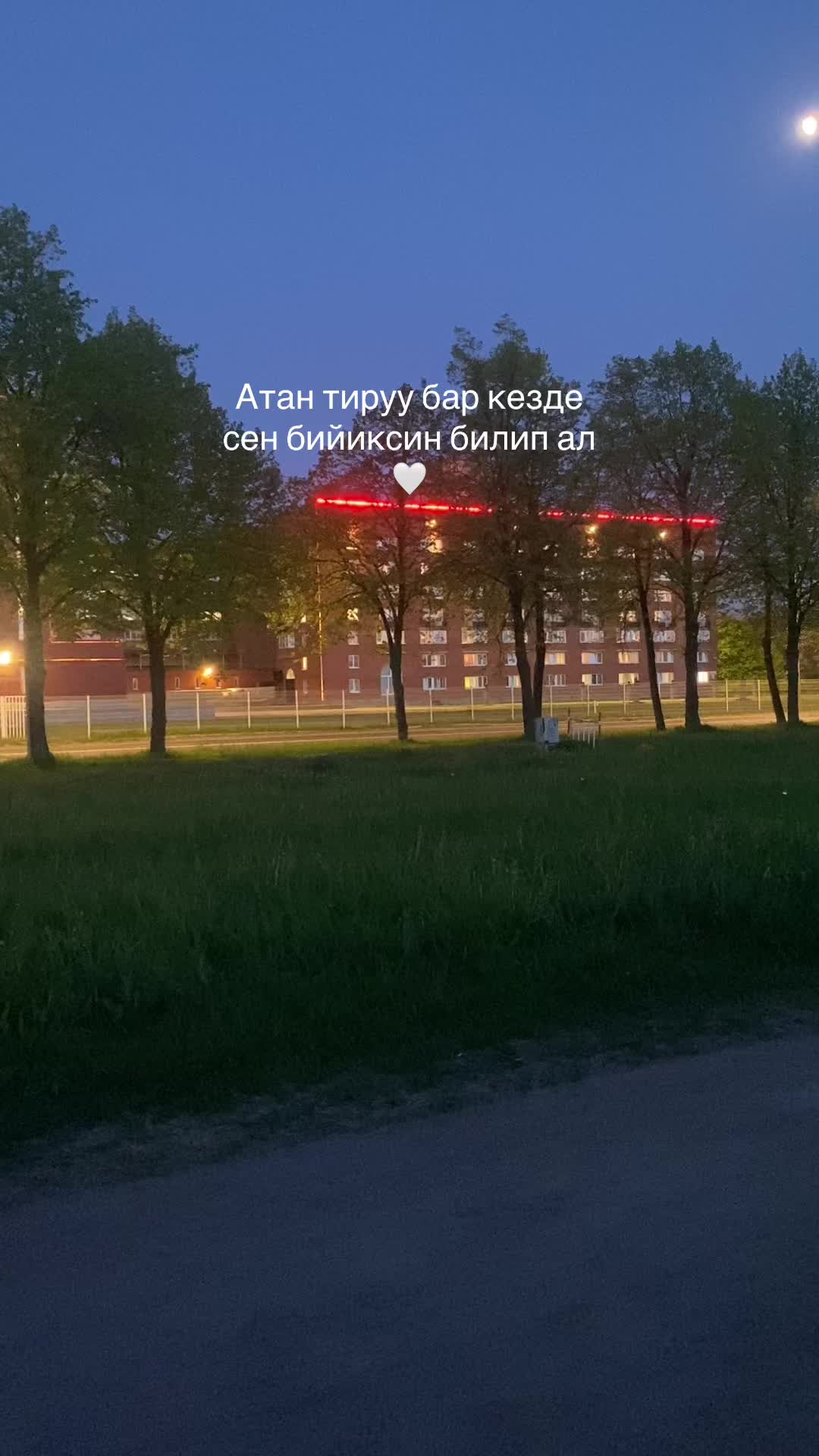 @1egemberdiev