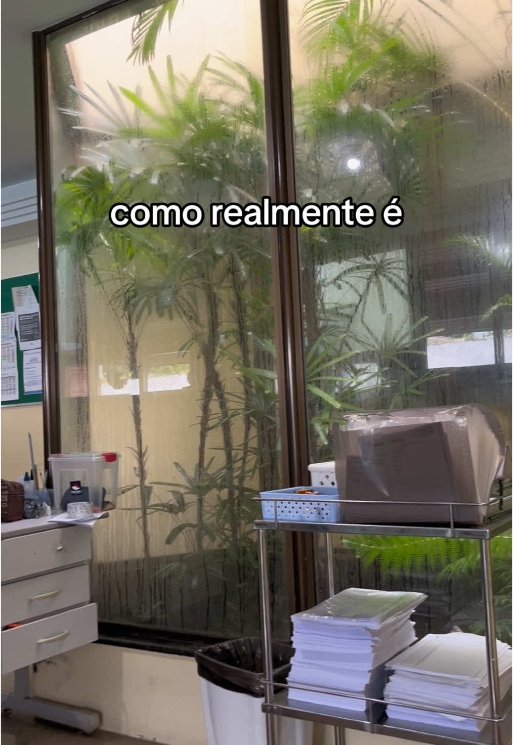 @karlagslima