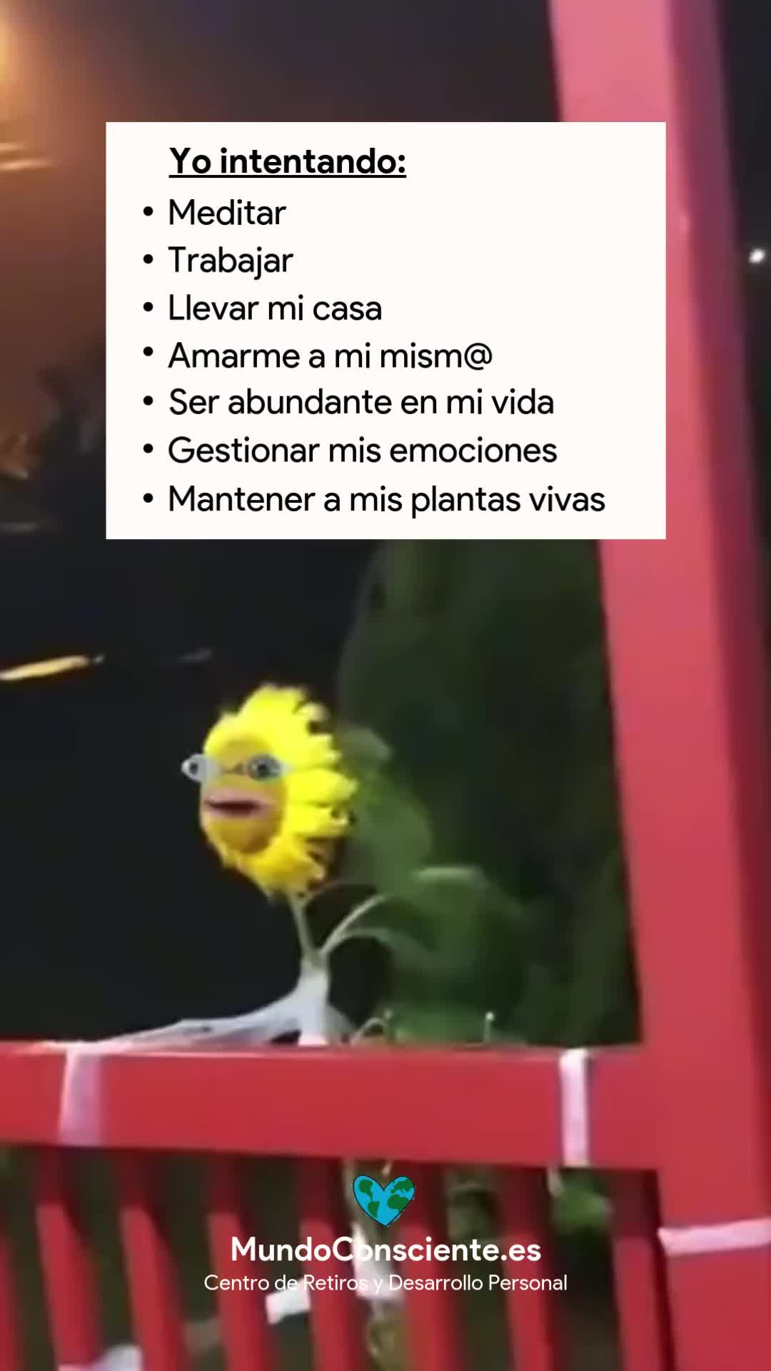 @Mundo Consciente retiros