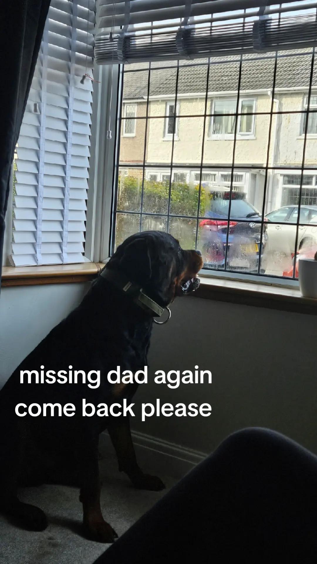 @Reggie the Rott