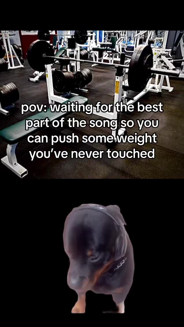 @finnlifting