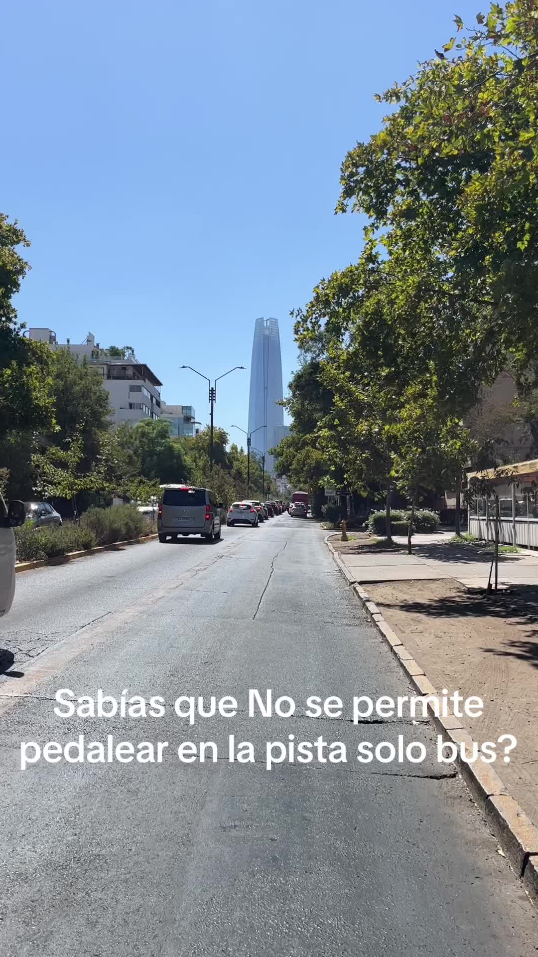 @pedaleable.org