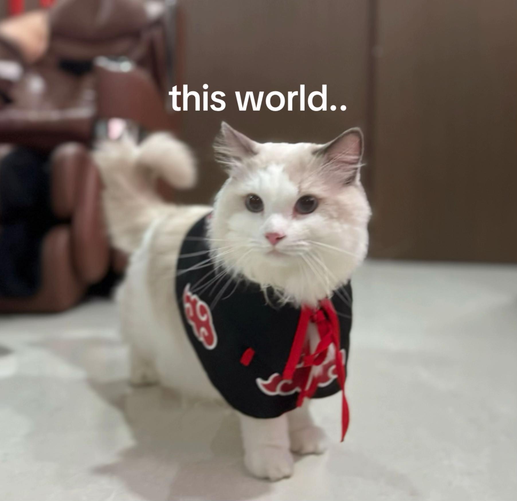 @taki