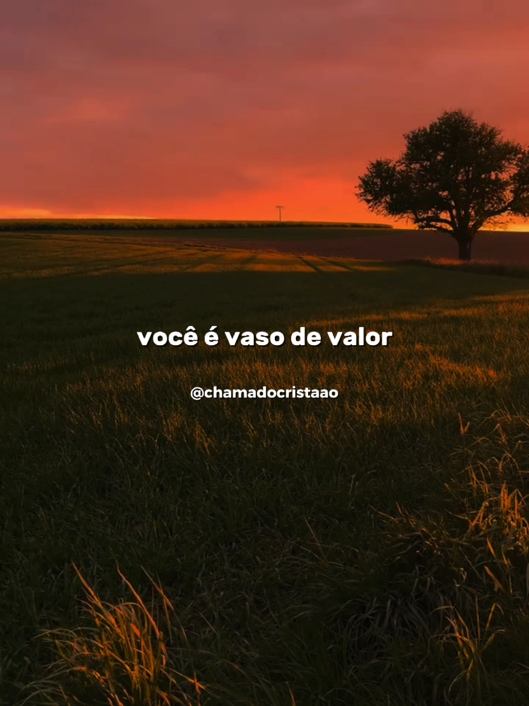 @Chamado Crist&atilde;o ✝️