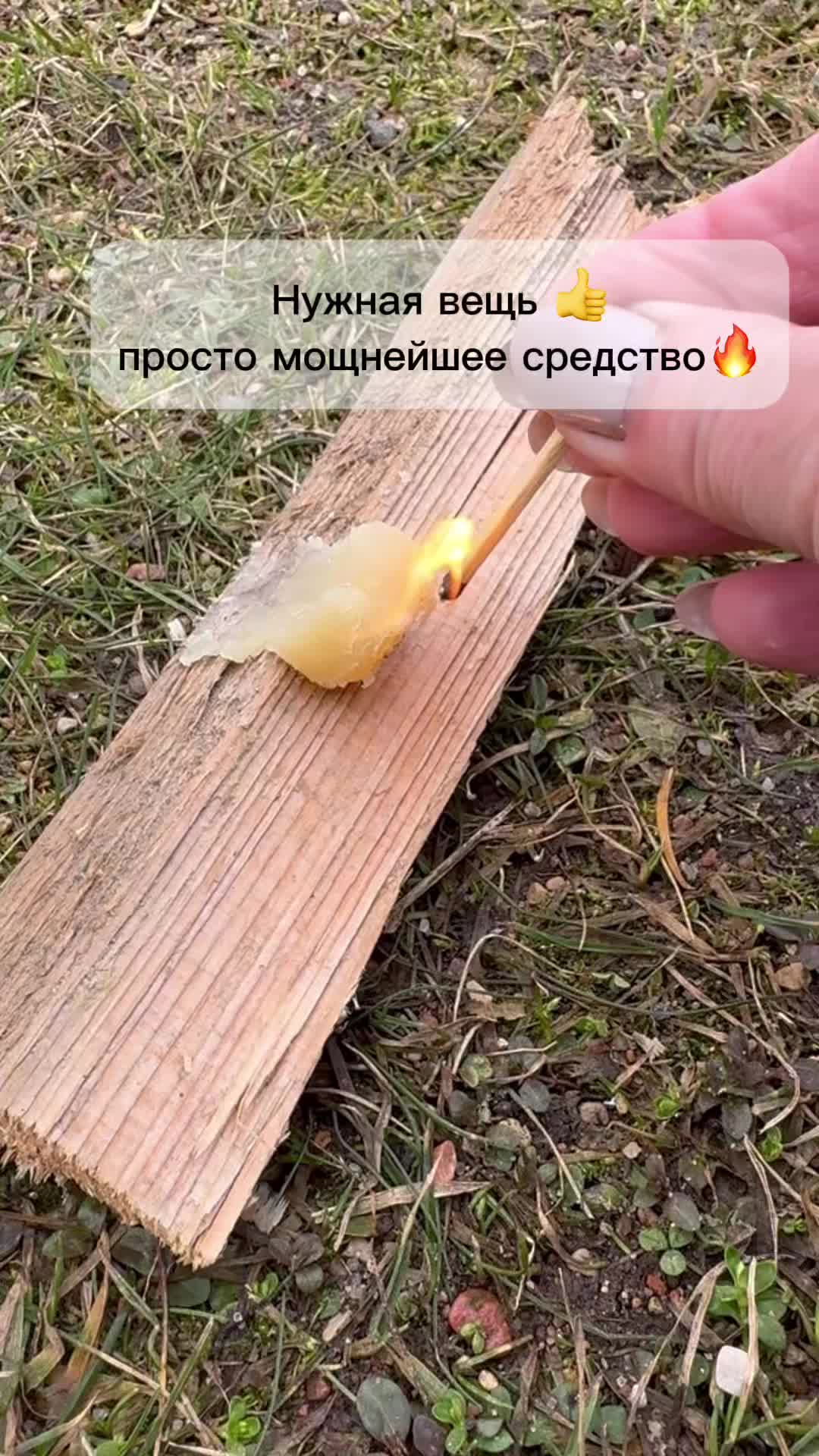 @shev.irina