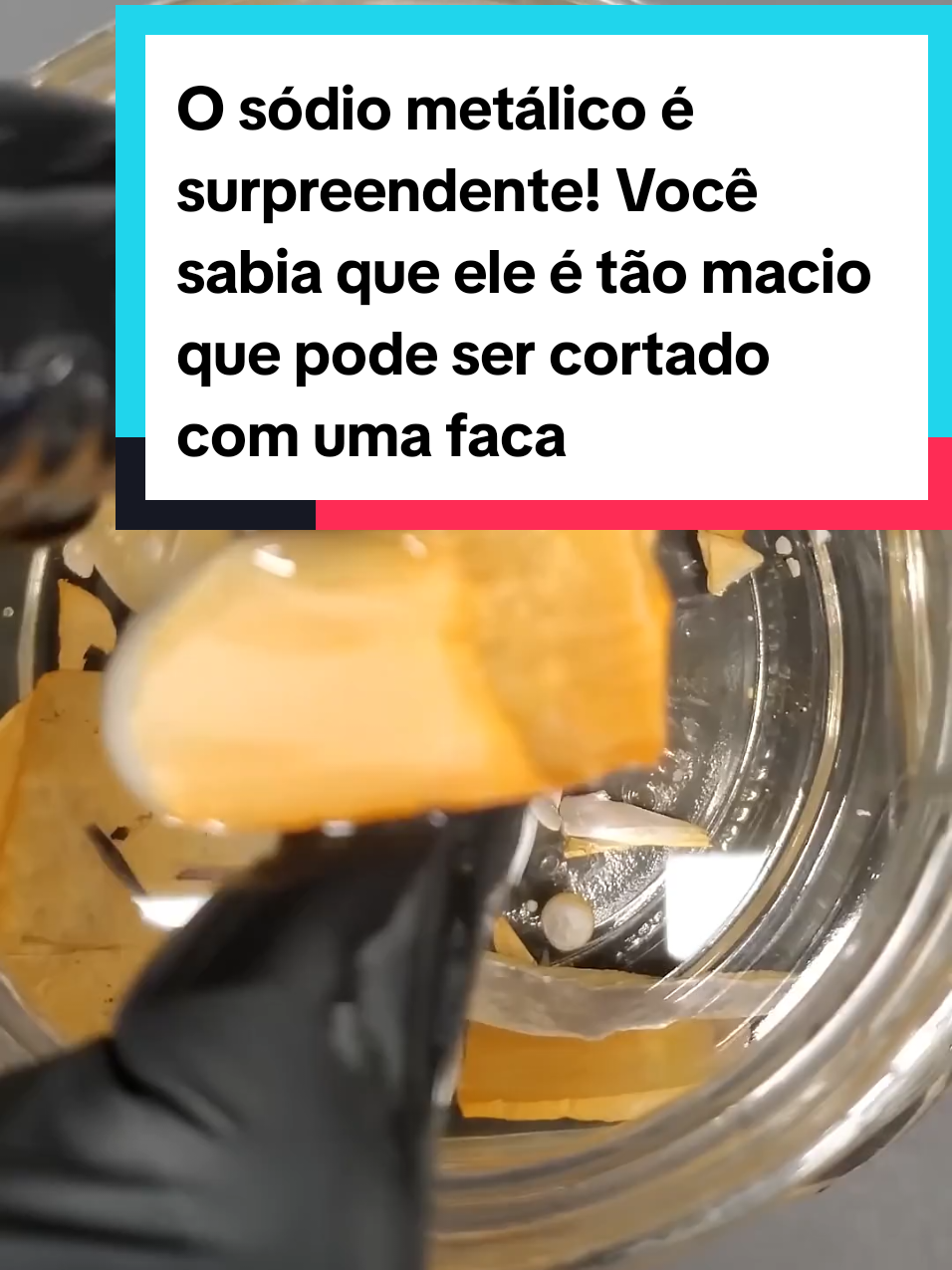 @Mundo da Curiosidades