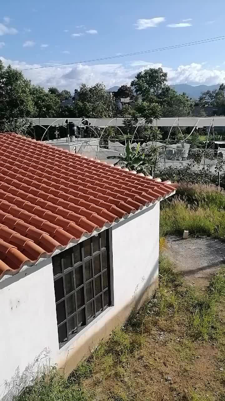@Juan Carlos Guatemala