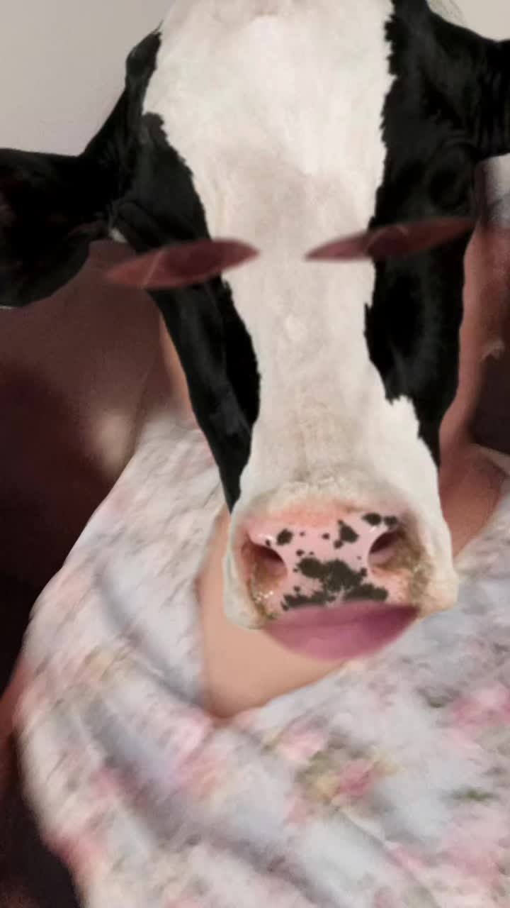 @aaracelis
