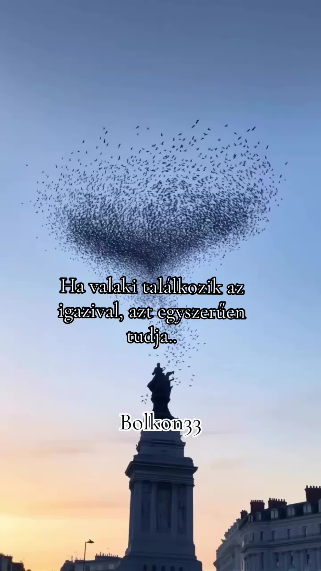 @bolkon33