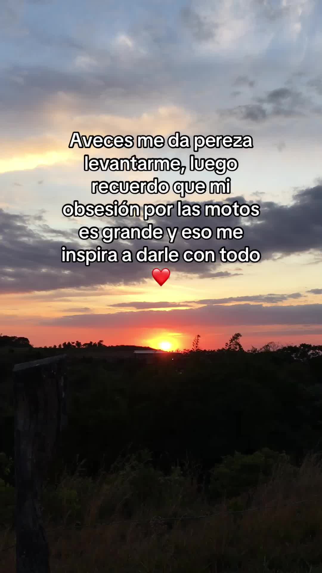 @Martinez503🇸🇻