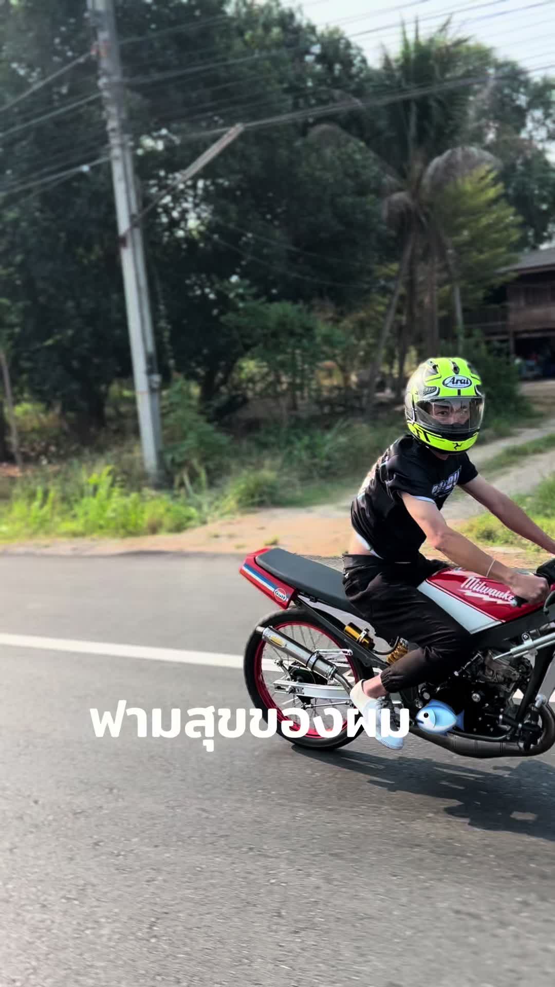 @เจ๋ง ปลาทู