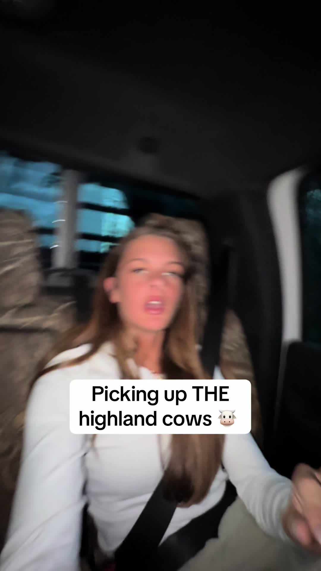 @sydneyblankenshipxo