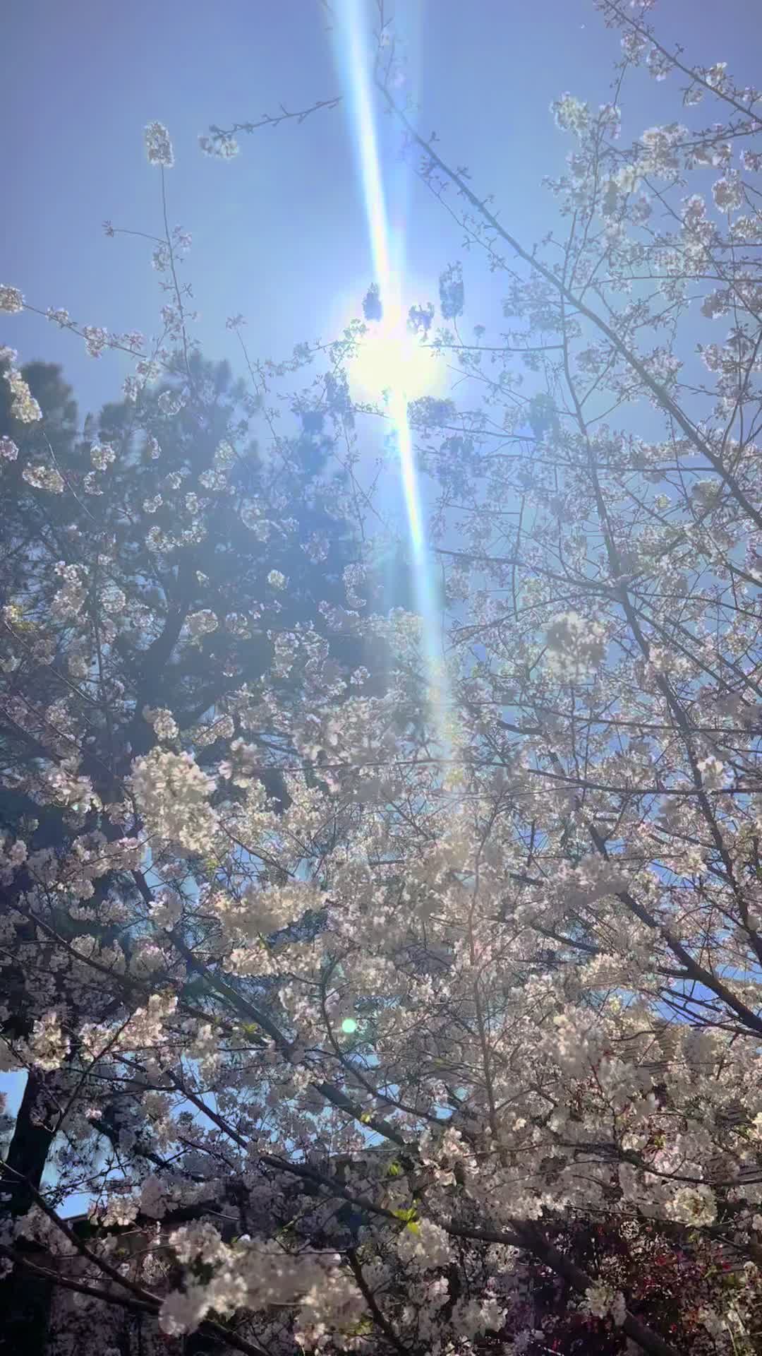 @HoneyBear32