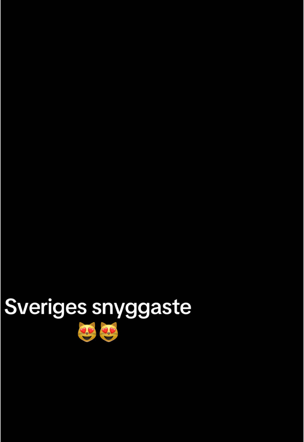 @Sveriges Snyggaste