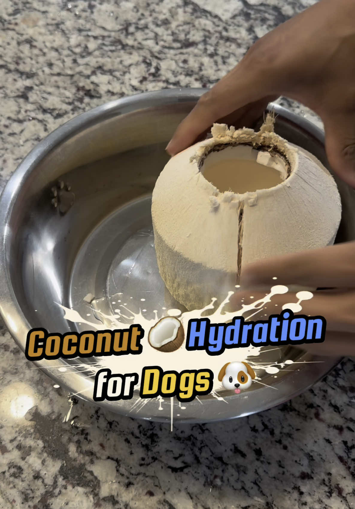 @Better Best Dog