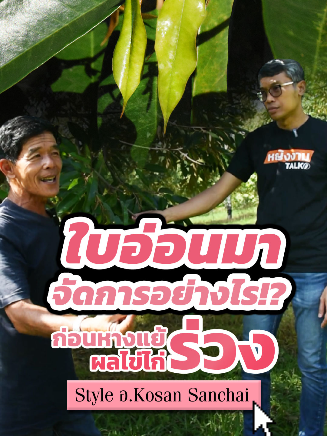@ตราหญิงงาม
