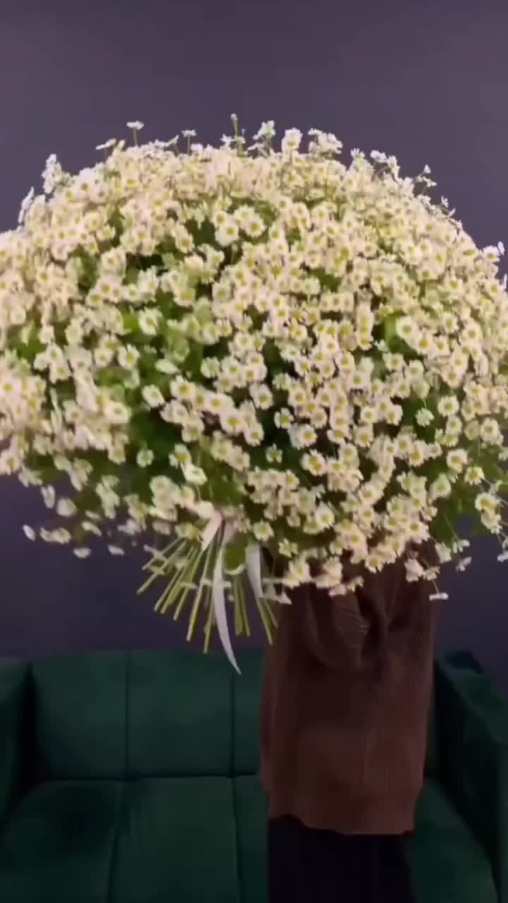 @A_Alieva91